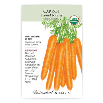 Carrot 'Scarlet Nantes'