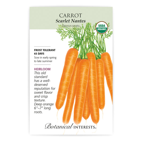Carrot 'Scarlet Nantes'
