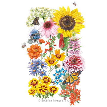 Flower Mix 'Precious Pollinators'
