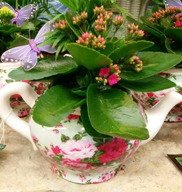 Teapot Garden Basket