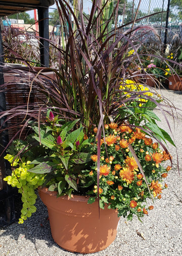 Planters
