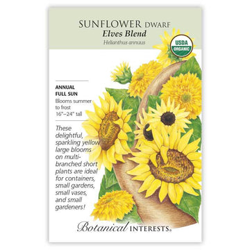 Sunflower Dwarf 'Elves Blend'