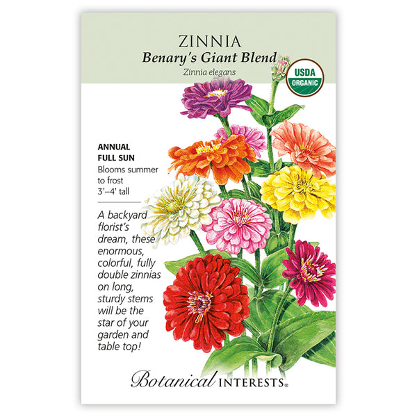 Zinnia 'Benary's Giant Blend'