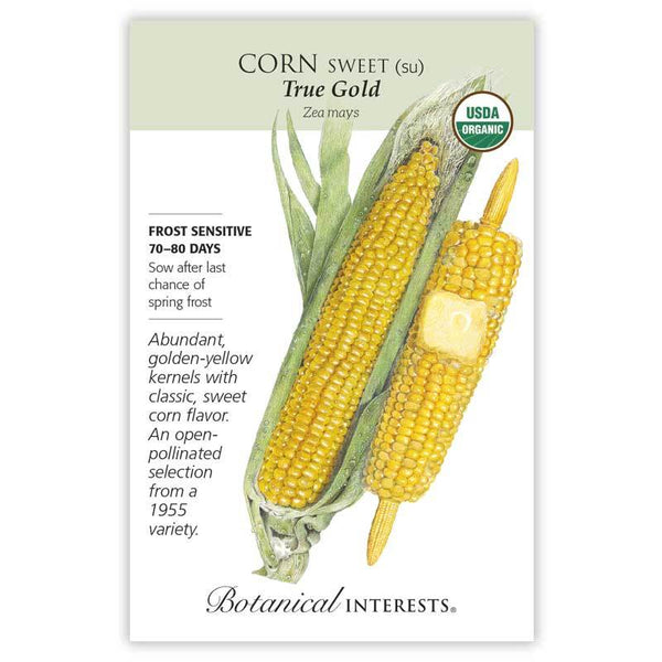 Corn 'True Gold Sweet'