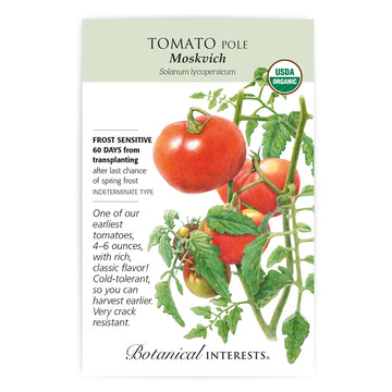 Tomato Pole 'Moskvich'