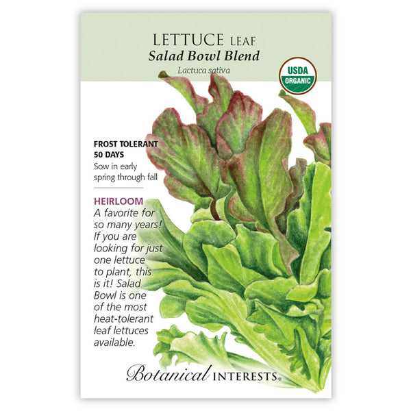 Lettuce 'Salad Bowl Blend Leaf'
