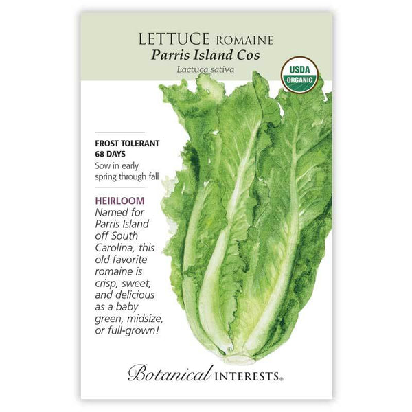 Lettuce 'Parris Island Cos Romaine'