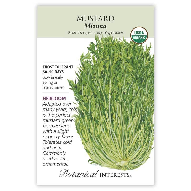 Mustard 'Mizuna' | Pesches Flowers & Garden Center