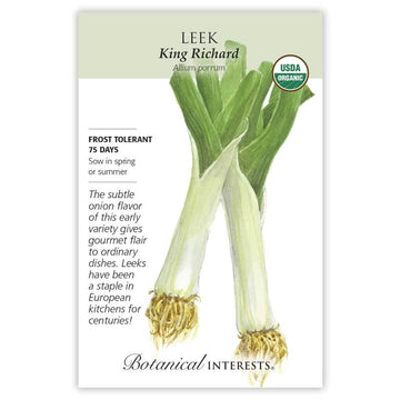 Leek 'King Richard'