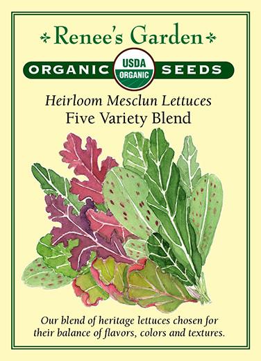 Lettuce 'Mesclun Five Variety Blend'
