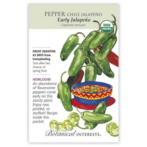 Pepper Chile 'Early Jalapeno'