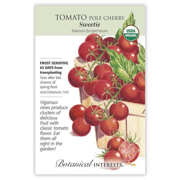 Tomato Pole Cherry 'Sweetie'