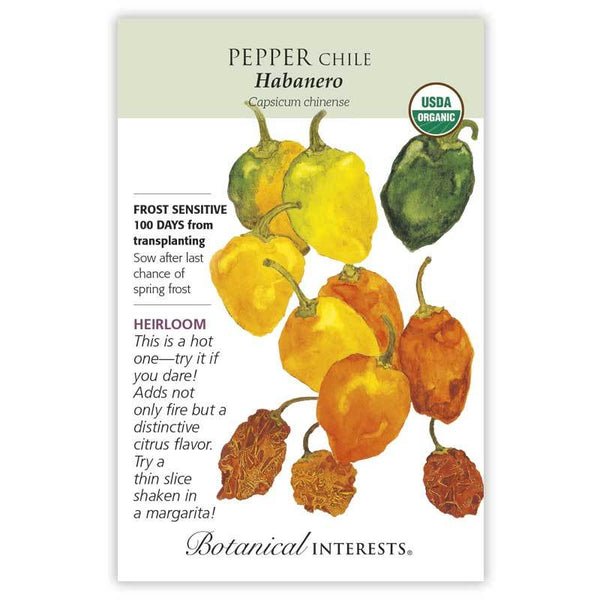 Pepper Chile 'Habanero'