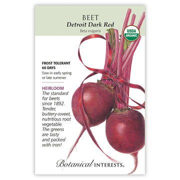 Beet 'Detroit Dark Red'