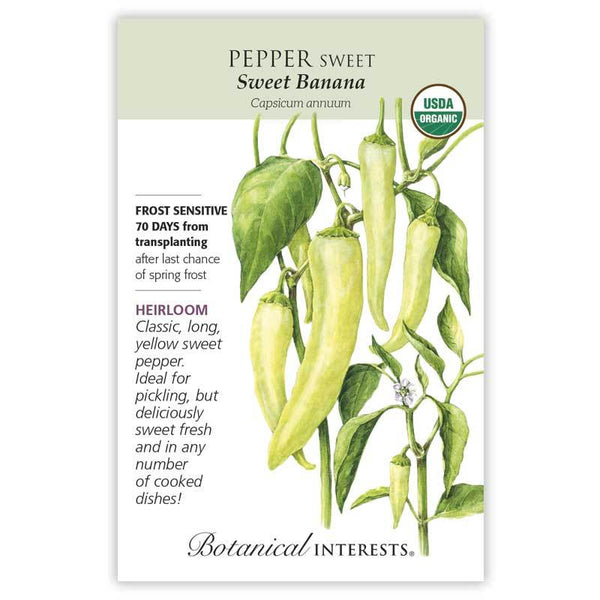 Pepper Sweet 'Sweet Banana'