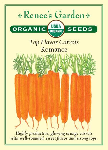 Carrot 'Top Flavor Romance'