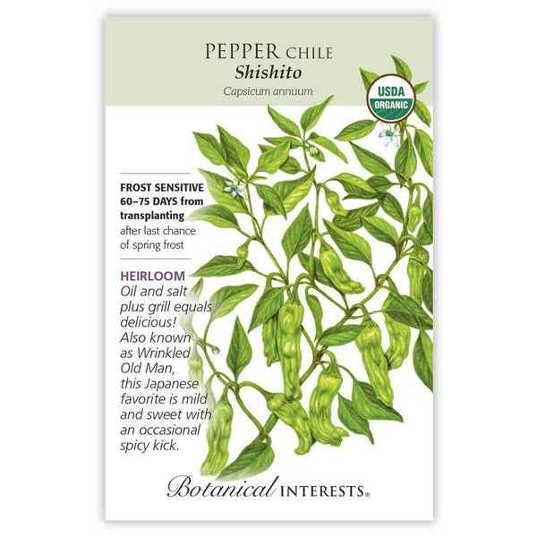 Pepper Chile 'Shishito'