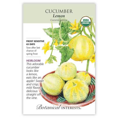 Cucumber 'Lemon'