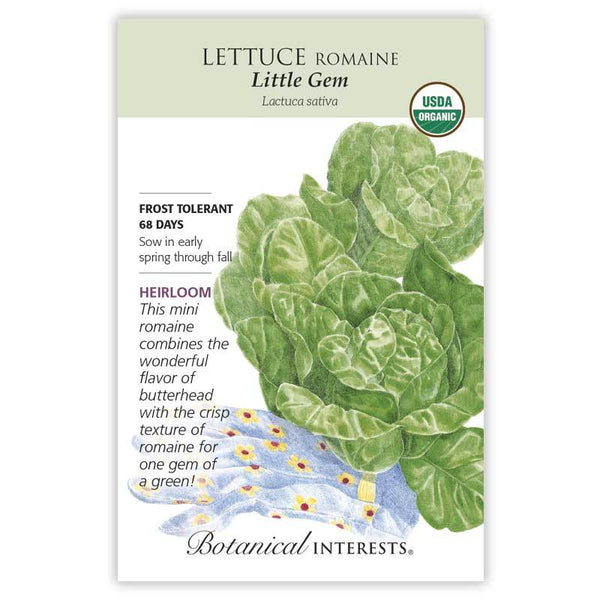 Lettuce 'Little Gem Romaine'