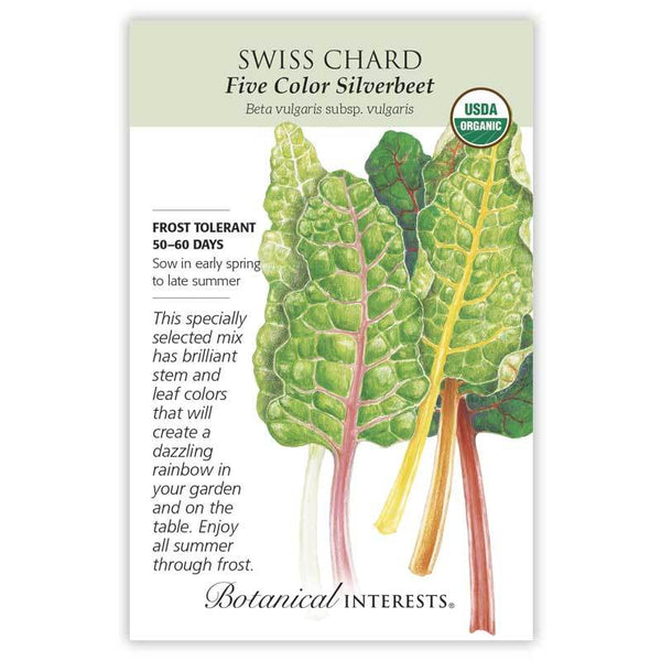 Swiss Chard 'Five Color Silverbeet'