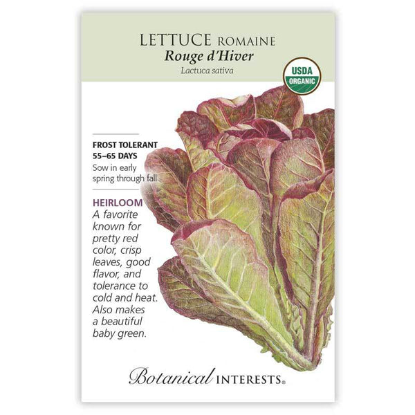 Lettuce 'Rouge d'Hiver Romaine'