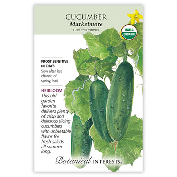 Cucumber 'Marketmore'