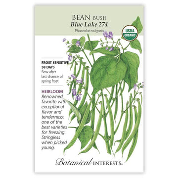 Bean Bush 'Blue Lake 274'