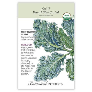 Kale 'Dwarf Blue Curled'