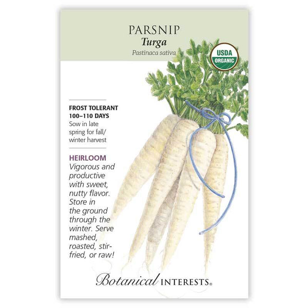 Parsnip 'Turga'