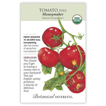 Tomato Pole 'Moneymaker'