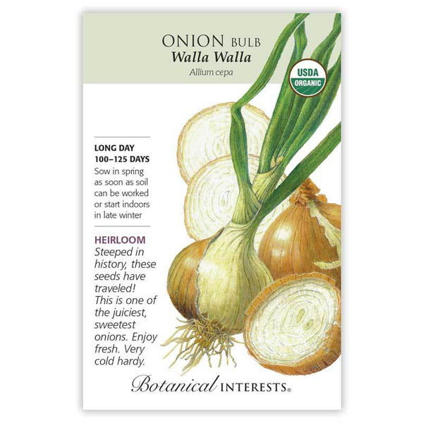 Onion 'Walla Walla Bulb'