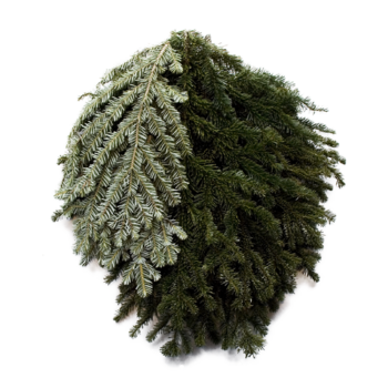 Christmas Fresh Greens/Bunches