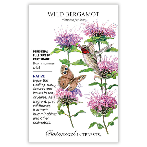 Wild Bergamot