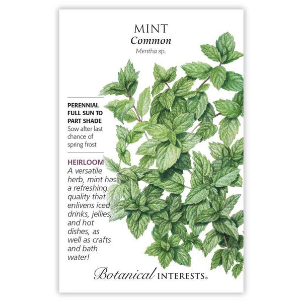 Mint 'Common'