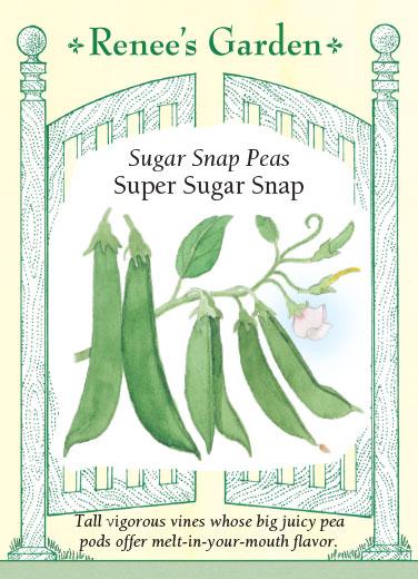Pea 'Super Sugar Snap'