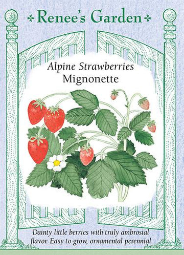Strawberries 'Alpine Mignonette'