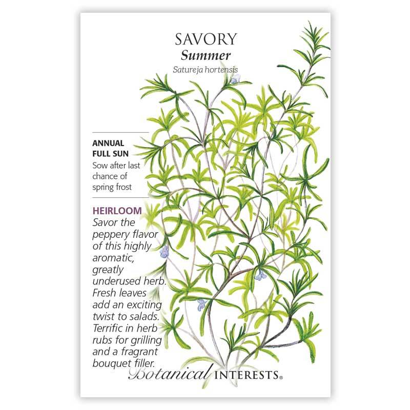 Savory 'Summer'