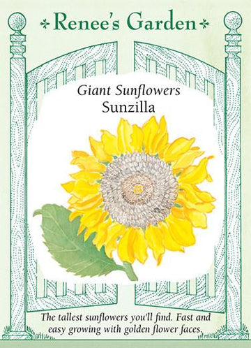Sunflowers 'Sunzilla Giant'
