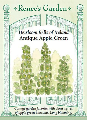Bells of Ireland 'Antique Apple Green'