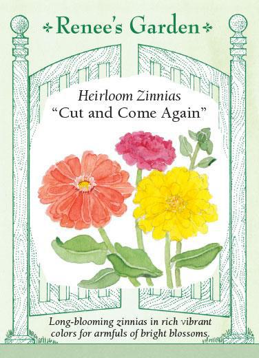 Zinnias 'Cut and Come Again'