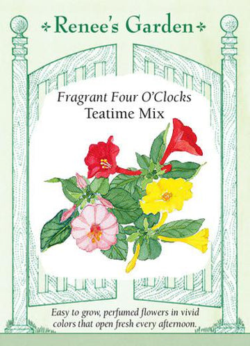 Four O'Clocks 'Teatime Mix'