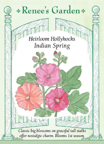 Hollyhock 'Old Fashioned Indian Spring'