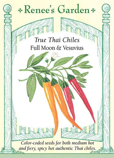 Pepper 'True Thai Chiles Full Moon & Vesuvius'