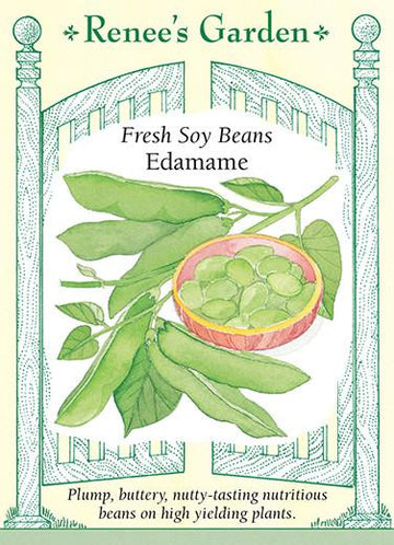 Bean 'Soy Edamame'