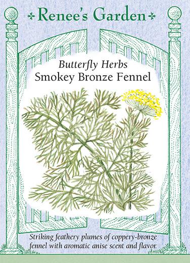 Fennel 'Butterfly Smokey Bronze'