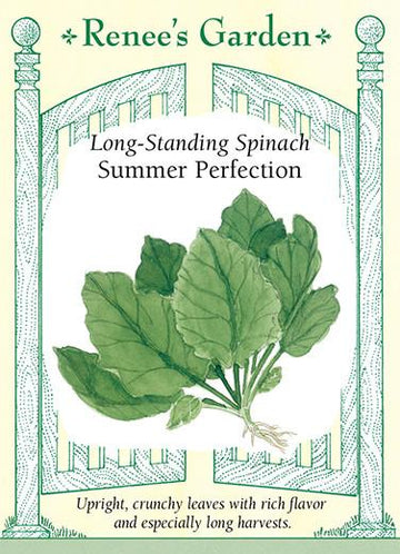 Spinach 'Summer Perfection'
