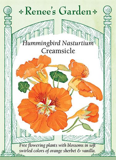 Nasturtiums 'Creamsicle'