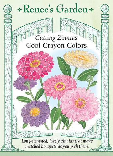 Zinnias 'Cool Crayon Colors'