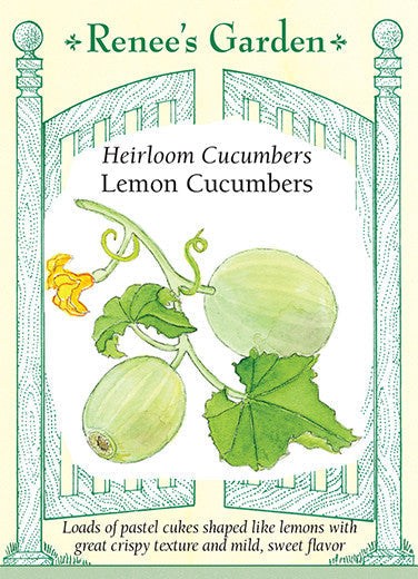 Cucumber 'Heirloom Lemon'