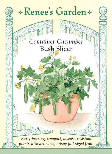 Cucumber 'Container Bush Slicer'